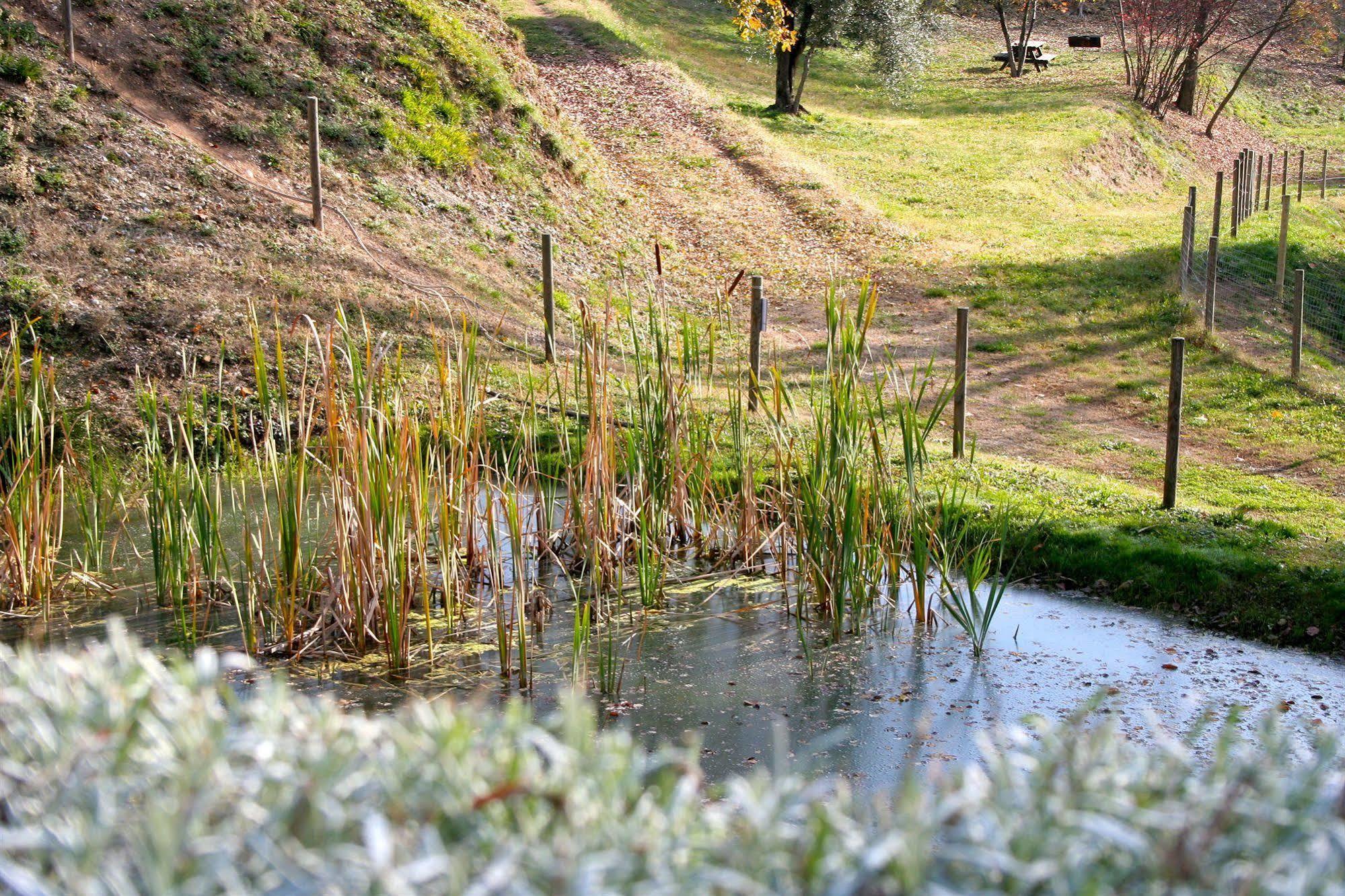 Aparthotel Premignaga Natural